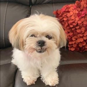 Meet your Posher, Marcia